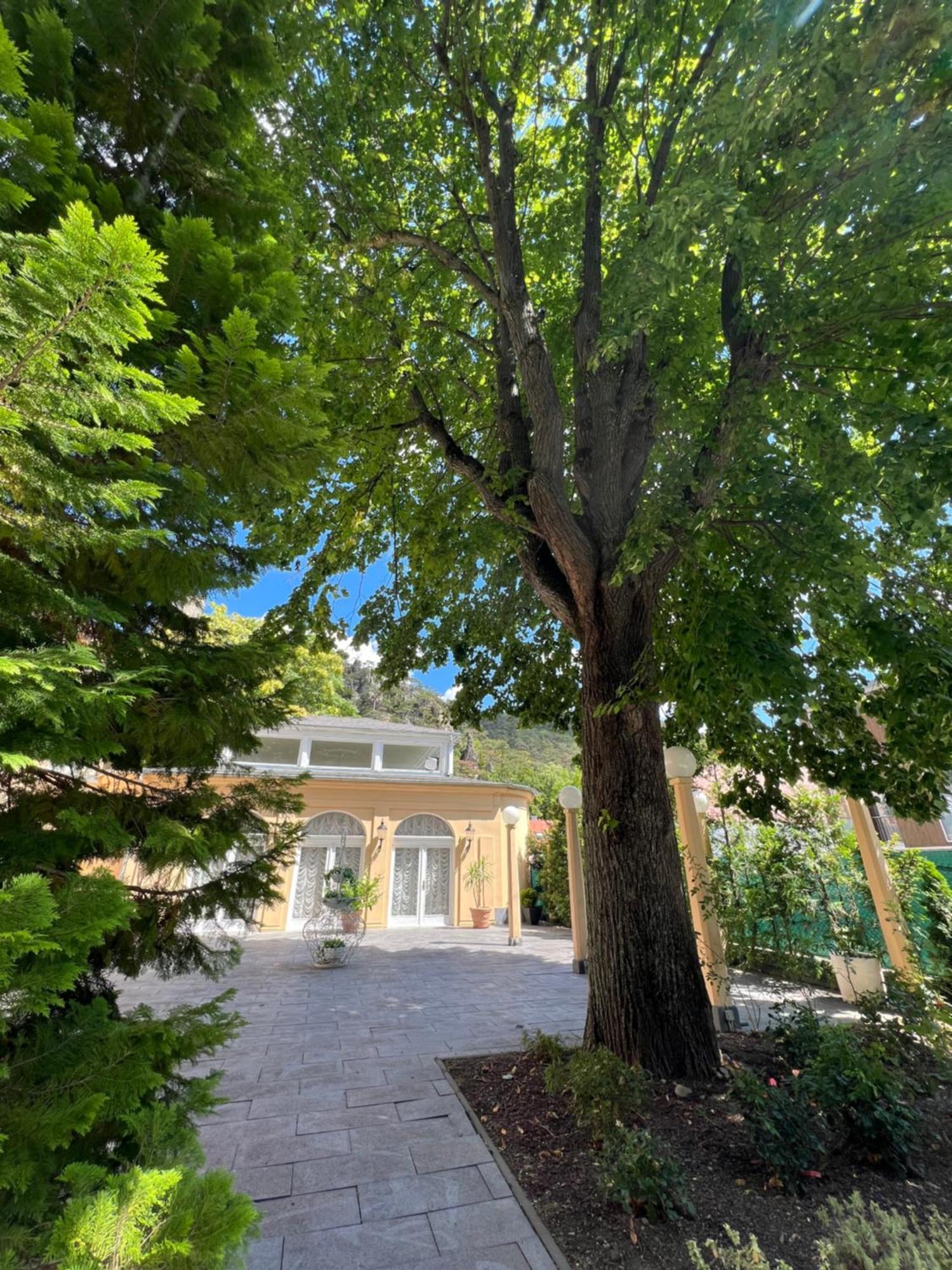 Wienerwald Residenz Baden Exterior foto